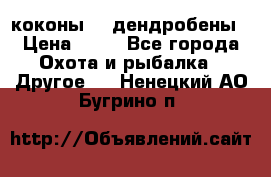 коконы    дендробены › Цена ­ 25 - Все города Охота и рыбалка » Другое   . Ненецкий АО,Бугрино п.